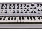 Limited Ed Moog 37