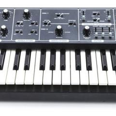 Moog Rogue Image