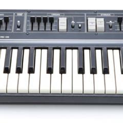 Roland RS-09 Image