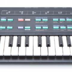 Yamaha DX100 Image