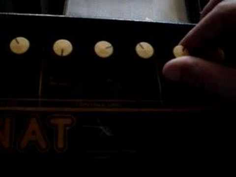 Embedded thumbnail for Gnat > YouTube